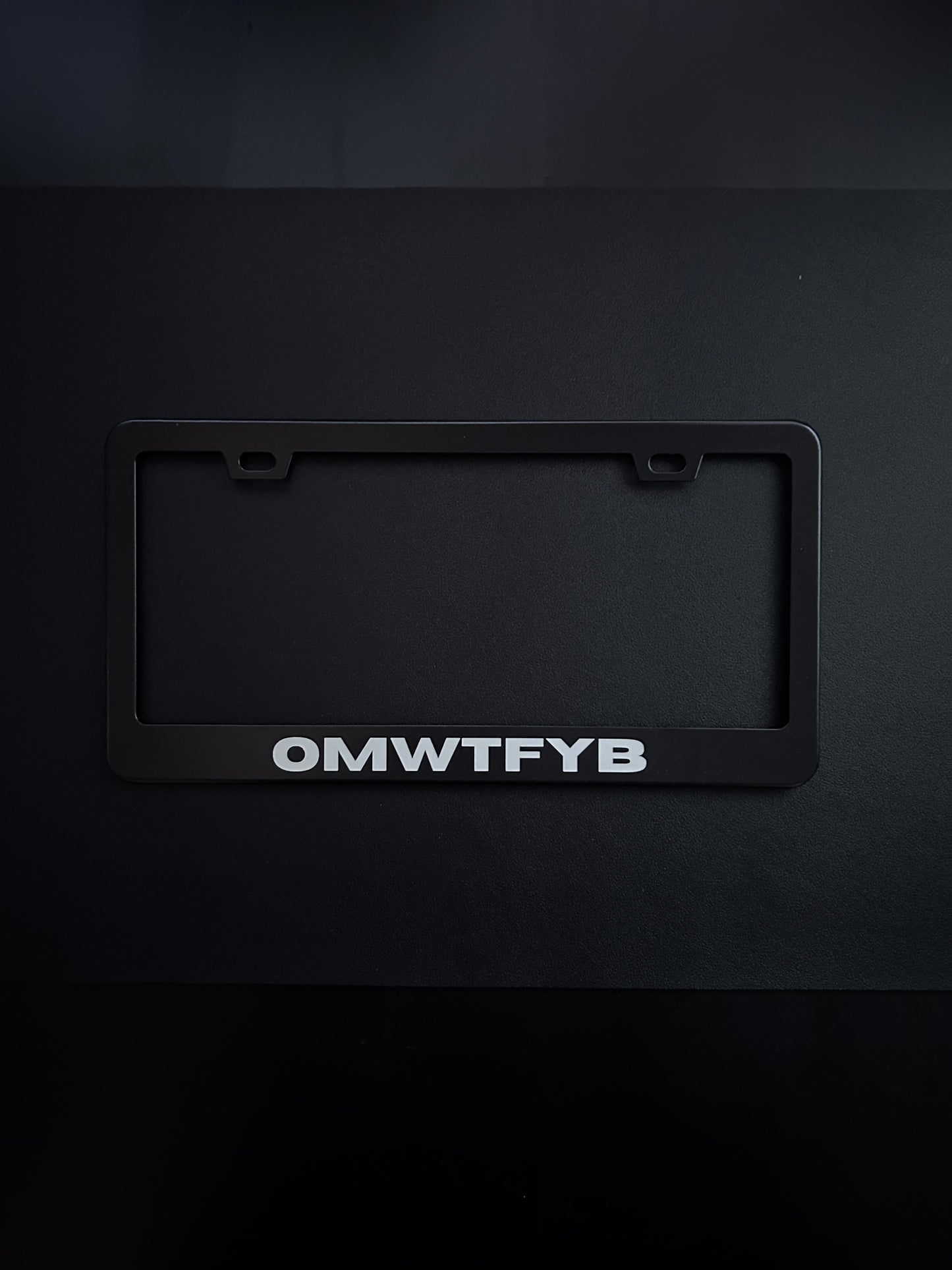 Omwtfyb Black Stainless Steel License Plate Frame