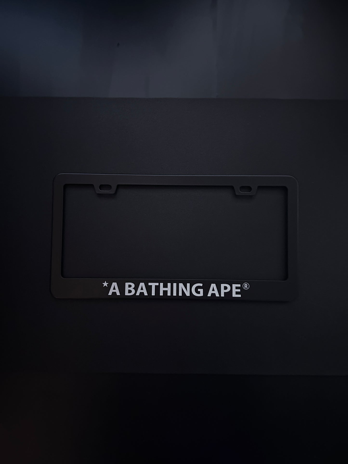 A Bathing Ape Black Stainless Steel License Plate Frame