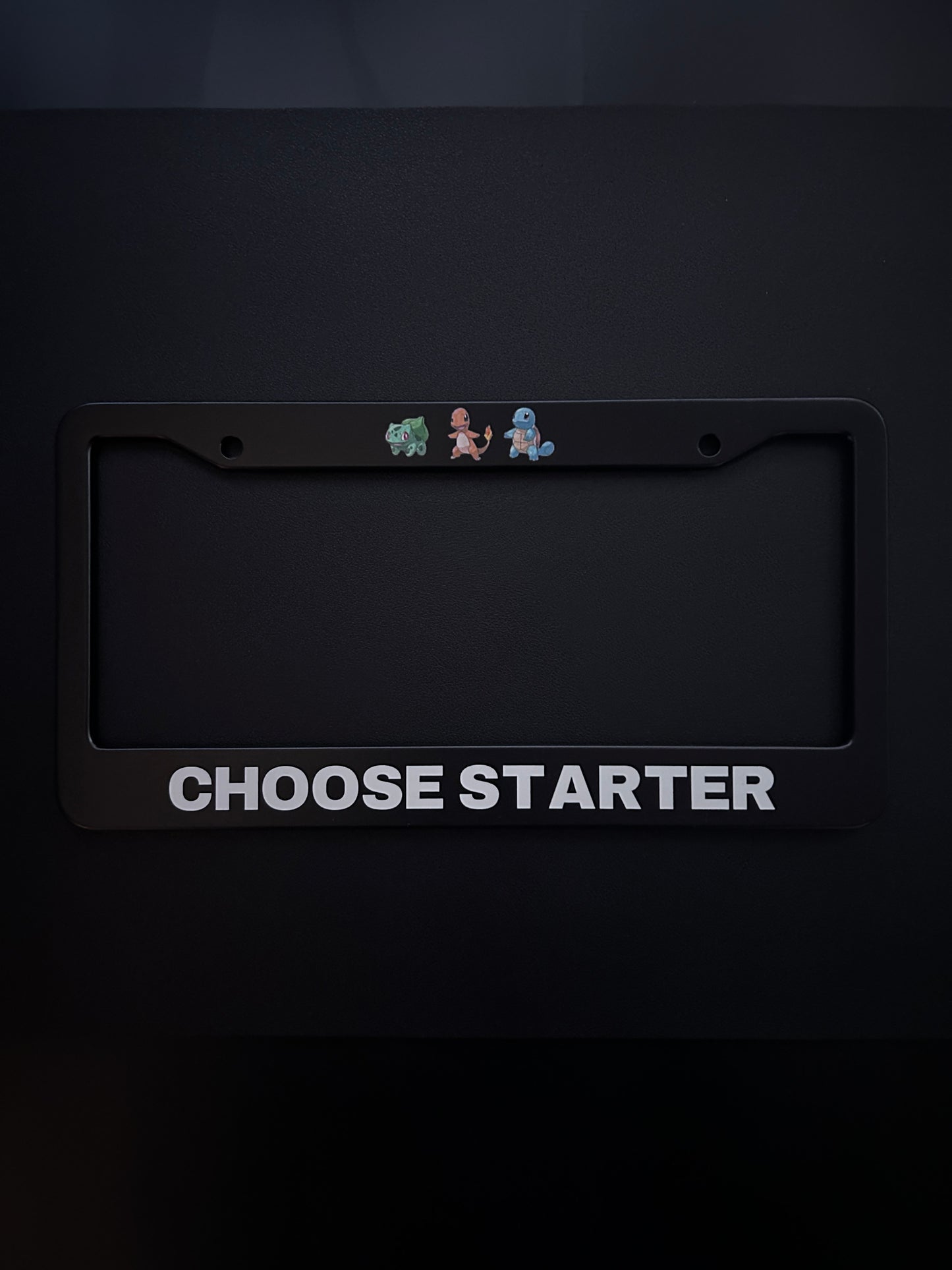 Choose Starter Black Stainless Steel License Plate Frame